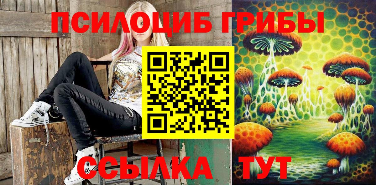 Фрязино  Псилоцибиновые грибы Psilocybine cubensis  Вход с VPN 