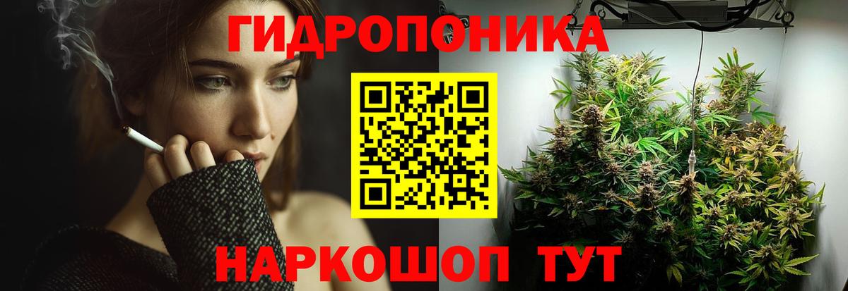 Канабис OG Kush Фрязино